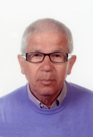 DI STEFANO SILVIO