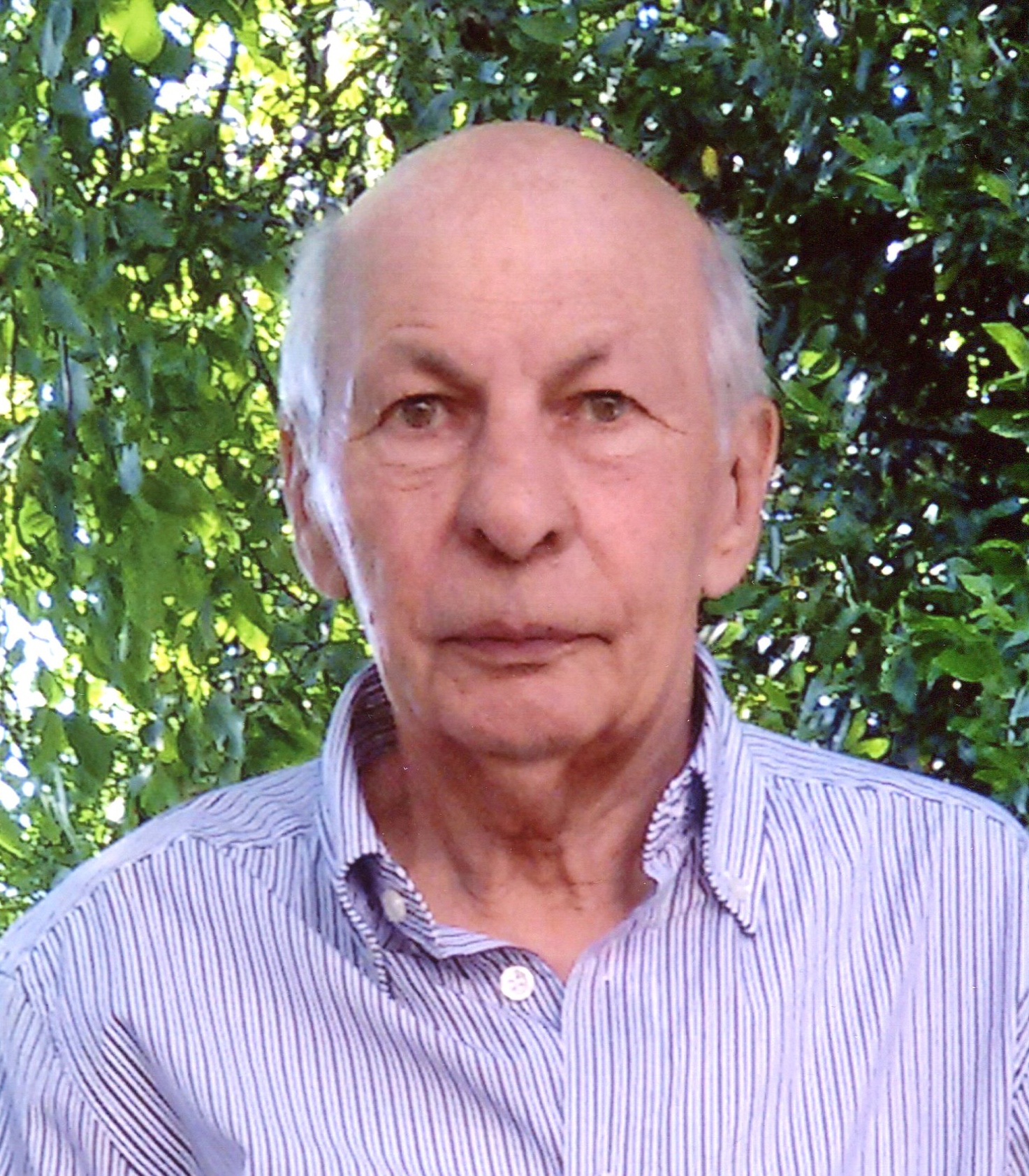 GIORGIO MEDEOT