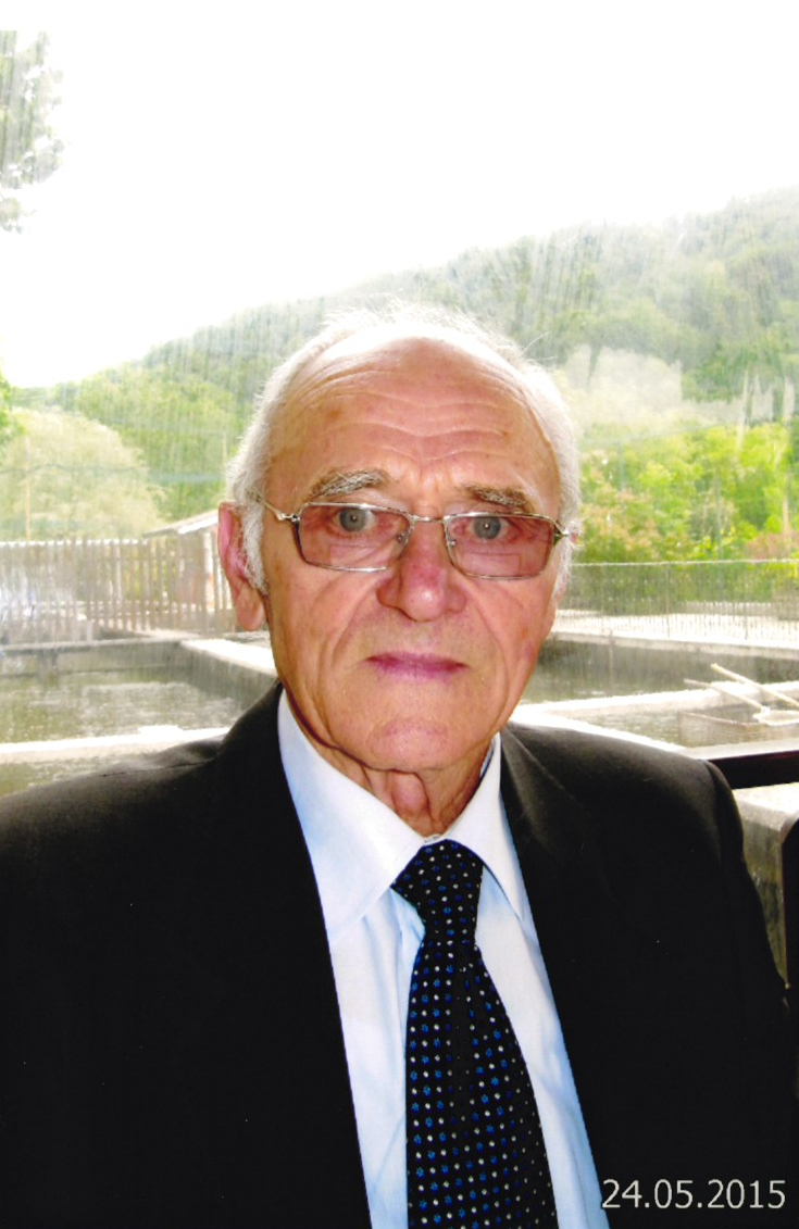 MERLINO GINO