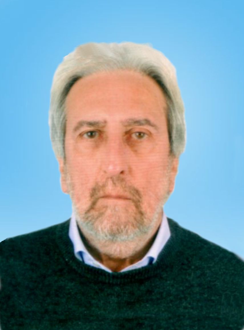 ALBINI DANIELE